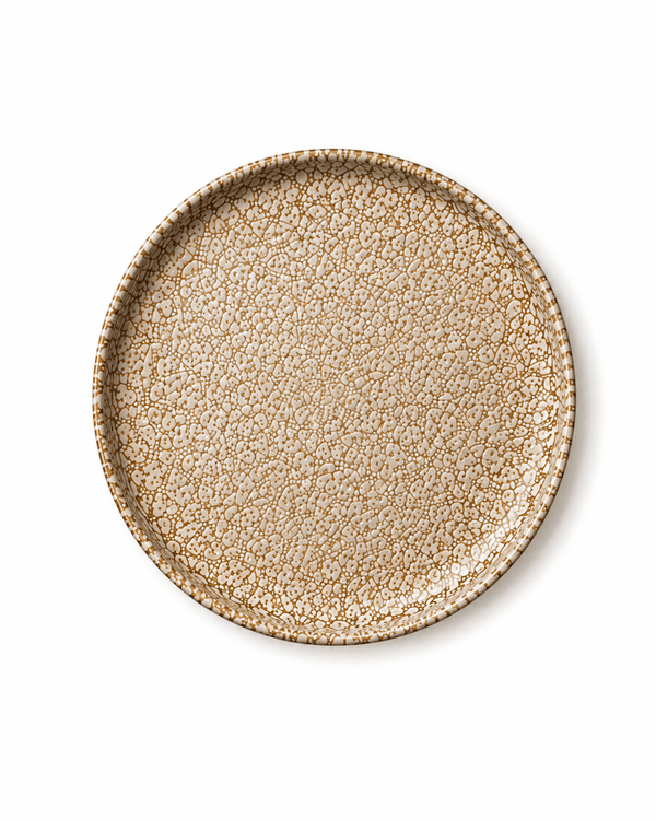 Brown and cream speckled reactive glaze stoneware dinner plate top view